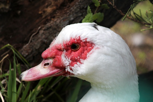 队员们获得 队员们获得