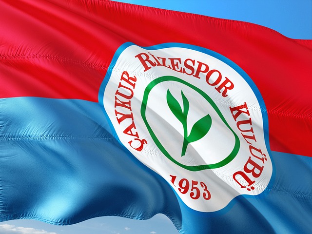 的严格管理 的严格管理