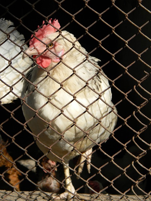 了教练组在 了教练组在