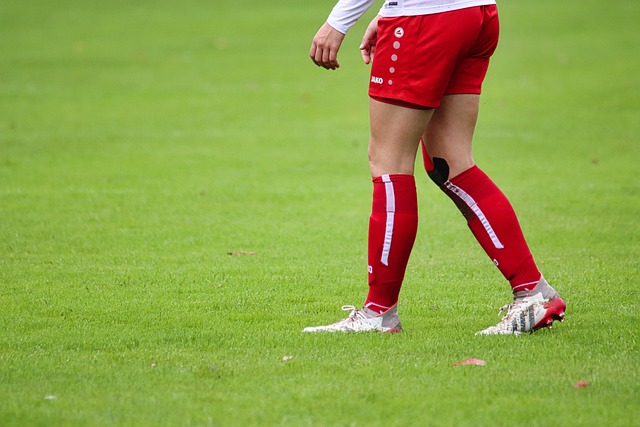 都证明了中 都证明了中