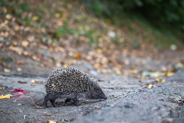 负的关键 负的关键